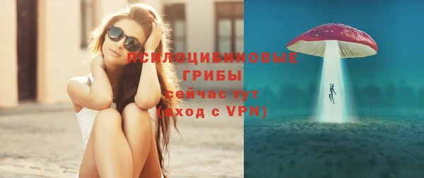 соль ск Ладушкин